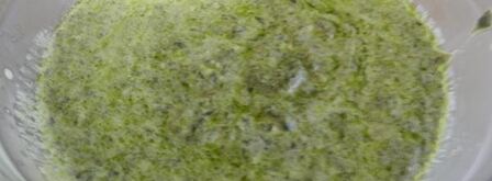 соус из шпината. Шаг 6