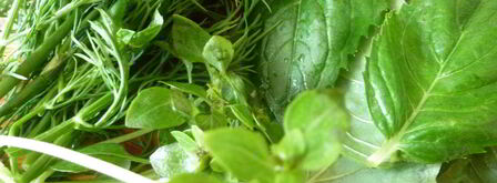 соус к мясу из жимолости. Шаг 4