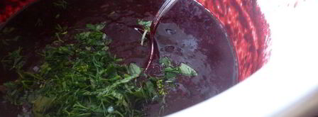 соус к мясу из жимолости. Шаг 5