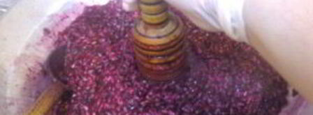 соус наршараб. Шаг 2