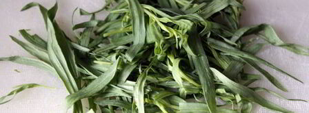 томатный соус с эстрагоном. Шаг 2