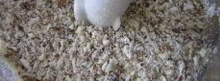 абрикосовый суп с рисом. Шаг 7