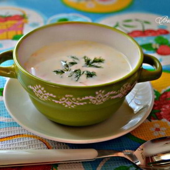 Рецепт болгарский летний суп