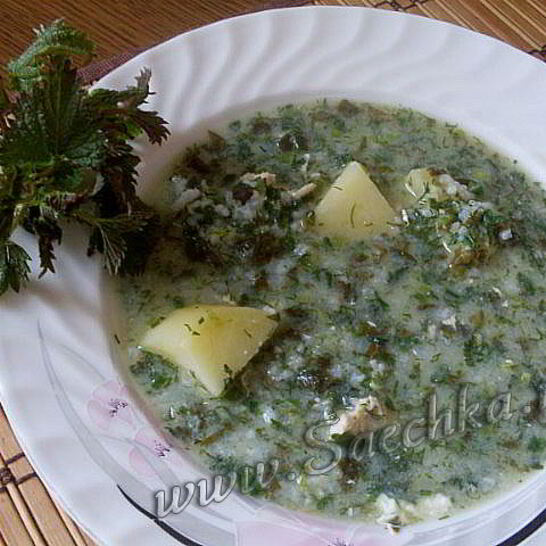 Рецепт зеленый борщ с крапивой