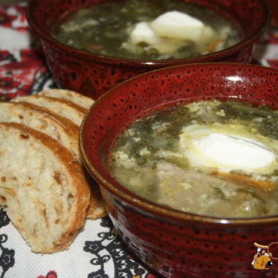 Рецепт зеленый борщ со щавелем и виноградными листьями