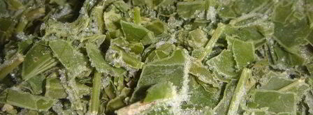 зеленый борщ. Шаг 5