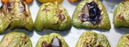 зеленый гаспачо. Шаг 2