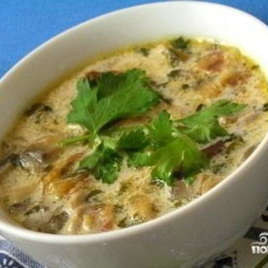 Рецепт грибной суп из замороженных подберезовиков