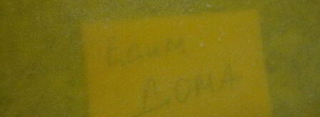 куриный суп с домашней лапшой весенний. Шаг 8