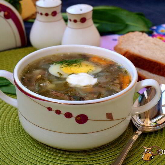 Рецепт щавелевый суп с капустой и шампиньонами