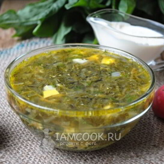 Рецепт щи из щавеля на курином бульоне