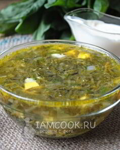 Щи из щавеля на курином бульоне