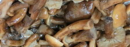 солянка грибная с огурцами. Шаг 5