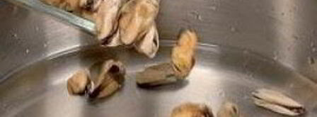 суп чаудер. Шаг 6