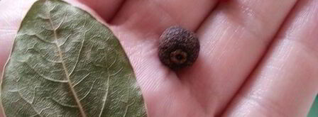 суп дарнасский. Шаг 6