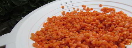 суп из бараньих ребрышек с чечевицей. Шаг 2