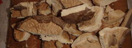 грибной суп-пюре капучино. Шаг 3