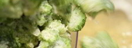 суп-пюре из брокколи. Шаг 4