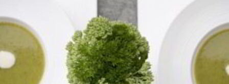 суп-пюре из брокколи. Шаг 9