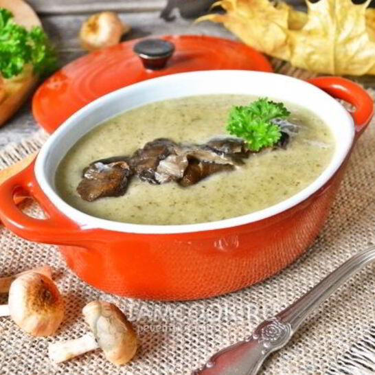 Рецепт суп-пюре из лесных грибов