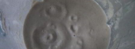 суп-пюре из шампиньонов. Шаг 4