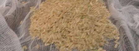 суп xамин. Шаг 6