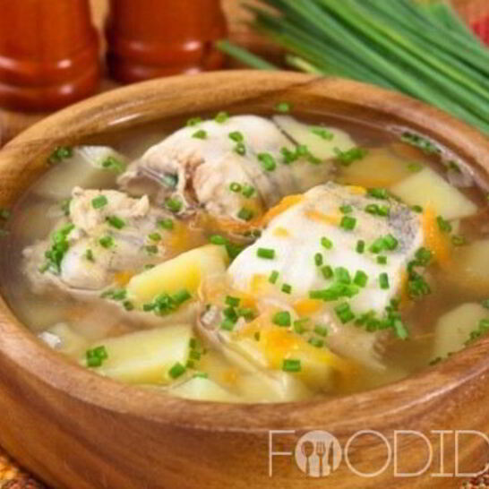 Рецепт уха из судака