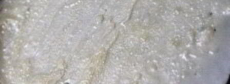 блинчики с филадельфией. Шаг 2