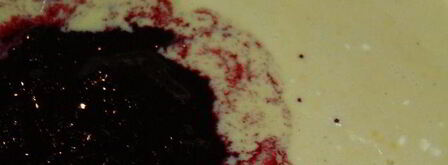 черничные блинчики с творожно-черничной начинкой. Шаг 2