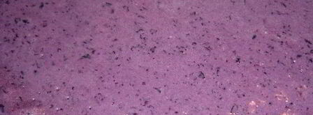 черничные блинчики с творожно-черничной начинкой. Шаг 3