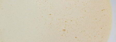 панкейки с голубикой. Шаг 3