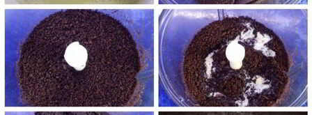 чизкейк с черносливом. Шаг 2