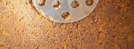 шоколадно-апельсиновый чизкейк. Шаг 2