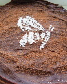 Тройной чизкейк Шоколадная нежность