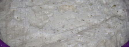 чиабатта с луком. Шаг 4