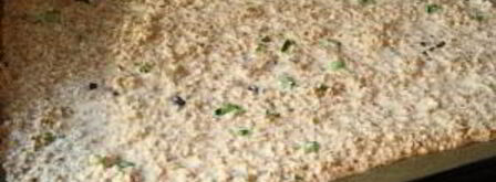 диетические хлебцы. Шаг 5