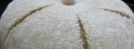 хлеб с солодом. Шаг 4