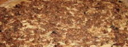 лаваш с сайрой. Шаг 4