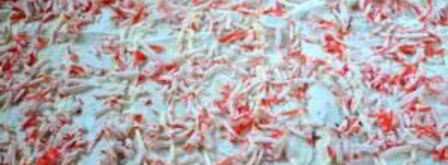 закуска из лаваша с крабовыми палочками. Шаг 4