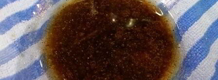 цельнозерновая лепешка с тунцом, креветками и перечным соусом. Шаг 4