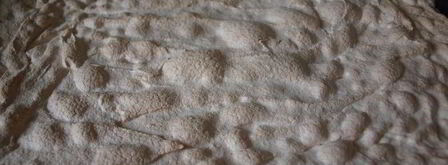 меренговый рулет. Шаг 3