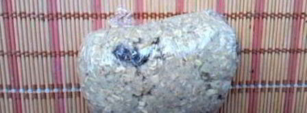 овсяное печенье с кефиром. Шаг 7