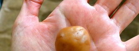 печенье кофейные зерна. Шаг 5