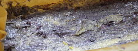 чернично-кокосовый пирог. Шаг 2