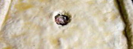 пирог с бараниной. Шаг 9