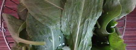 пирожки-мешочки — продолжение щавелевой темы. Шаг 3