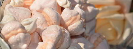 пирожное безе с заварным кремом. Шаг 5