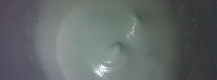 пирожное летняя сказка со смородиной. Шаг 7