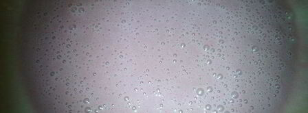 пирожное мое любимое. Шаг 3