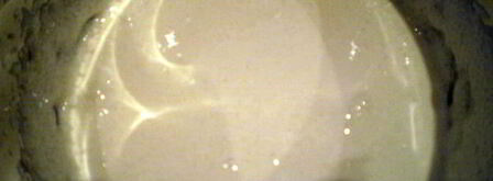 пирожное весенняя свежесть. Шаг 6